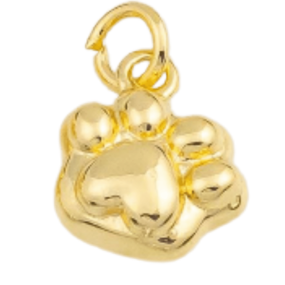 18k Gold PVD Dog Paw Charm - The Ky Collection