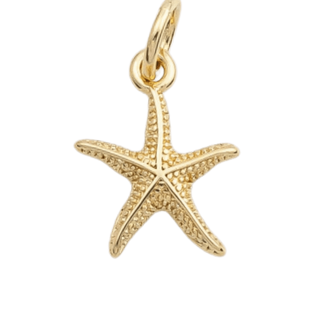 Textured Starfish Charm - The Ky Collection