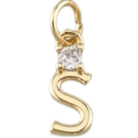 18k Gold PVD ‘S’ Charm