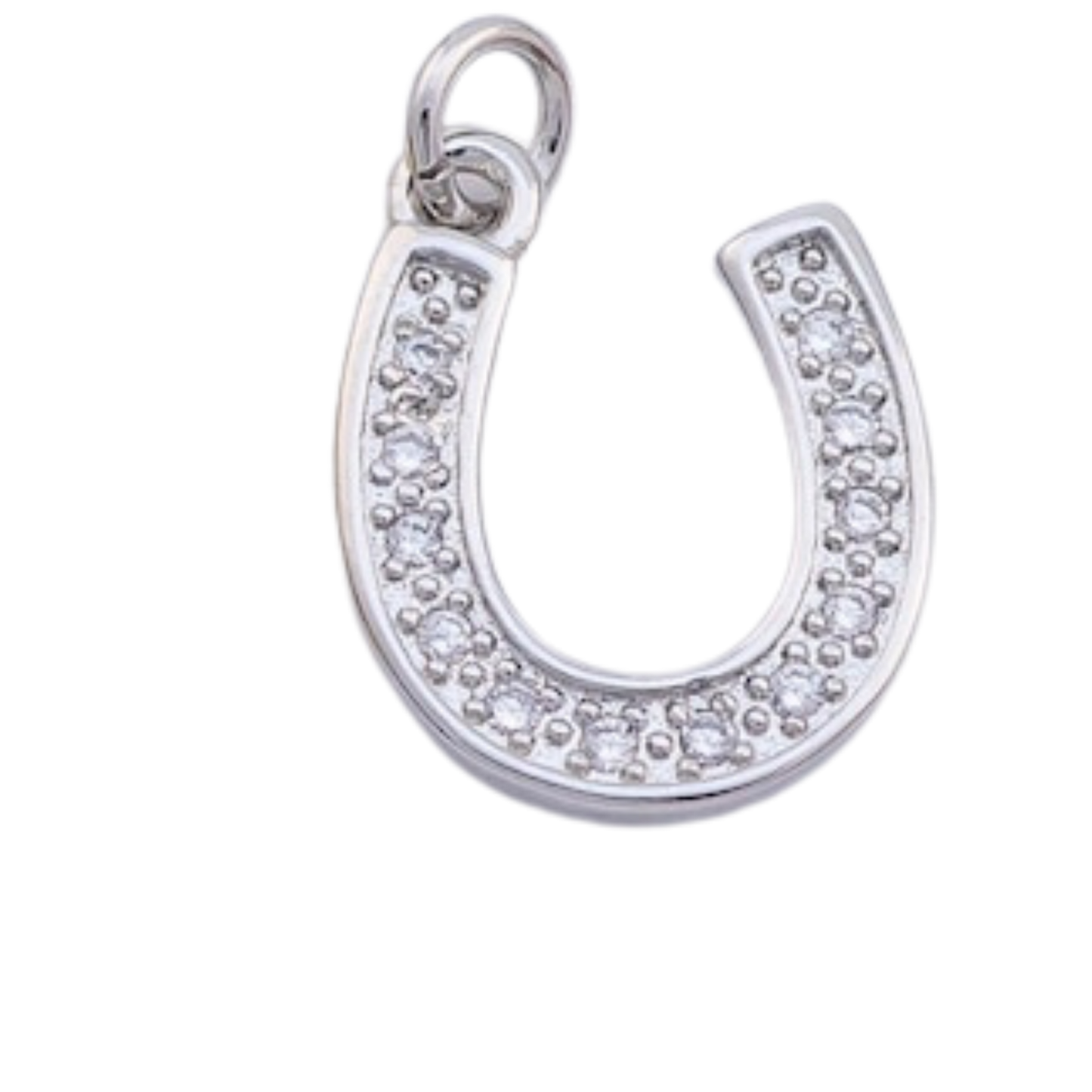 Horseshoe Charm