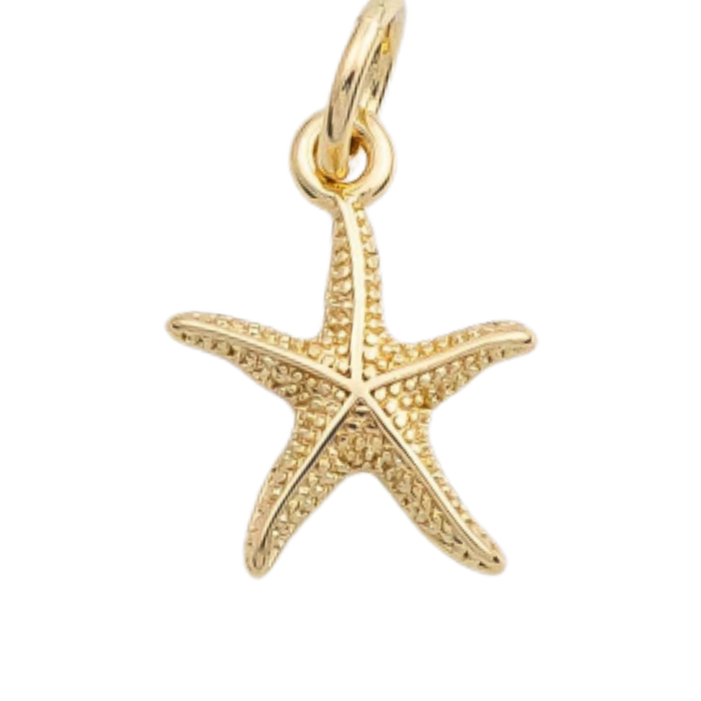 Textured Starfish Charm
