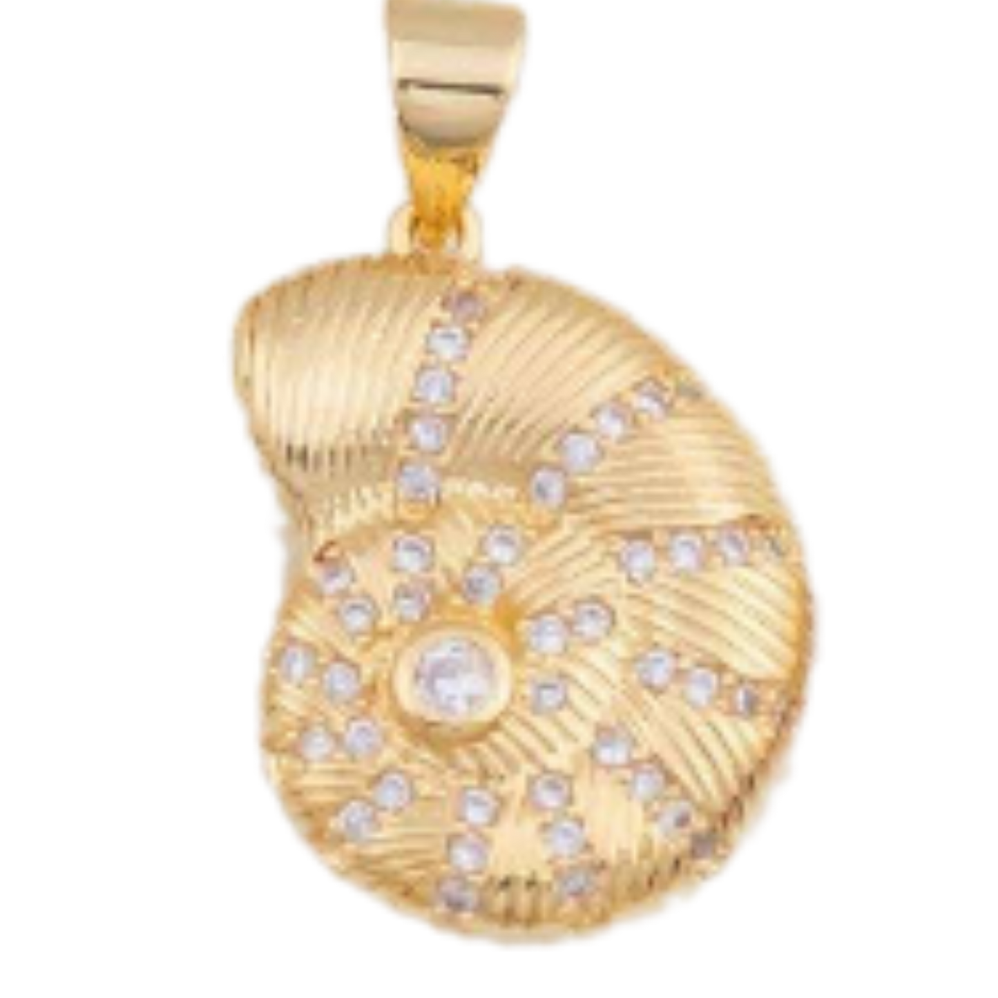 Seashell Charm