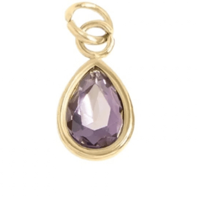 February Birthstone Charm - The Ky Collection