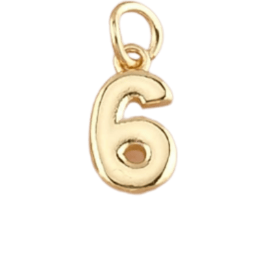 Number 6 Charm