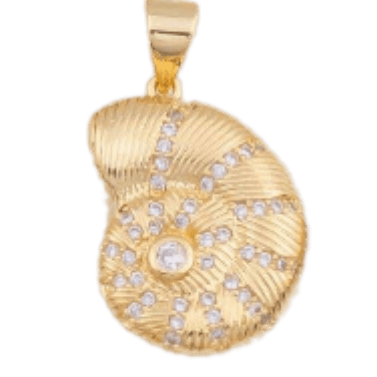 Seashell Charm - The Ky Collection